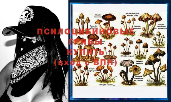 спайс Балахна