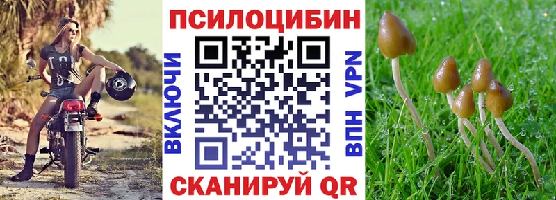 Псилоцибиновые грибы MAGIC MUSHROOMS  Олёкминск 